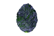 Load image into Gallery viewer, Balefire Dragon Egg
