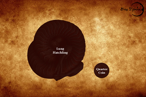 Volcanic Lung Hatchling