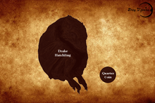 Load image into Gallery viewer, Copper Drake Hatchling
