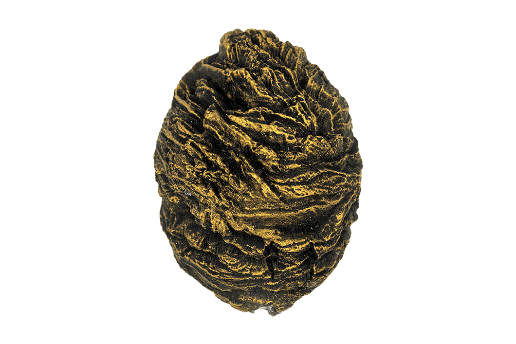Gold Dragon Egg