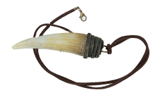 Load image into Gallery viewer, Adult Dragon Tooth Pendant
