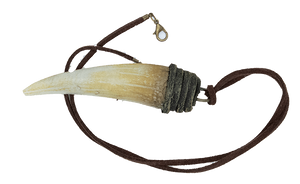 Adult Dragon Tooth Pendant