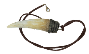 Dragon tooth pendant deals