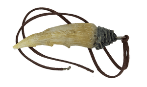 Adult Wyvern Tooth Pendant