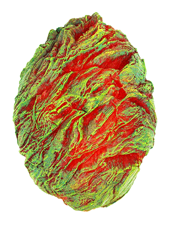 Wild Fey Dragon Egg