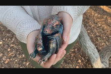 Load and play video in Gallery viewer, Copper Drake Hatchling
